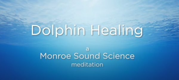 Dolphin Healing