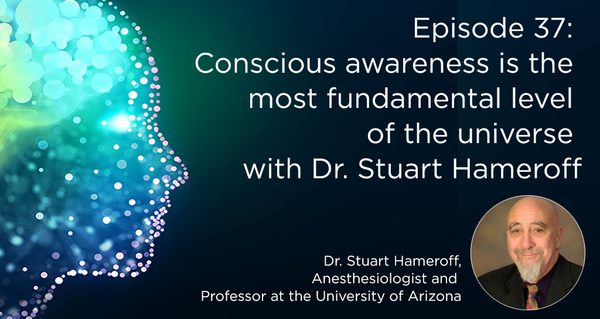 Episode 37: Conscious awareness is the most fundamental level of the universe with Dr. Stuart Hameroff