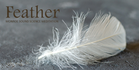 Feather