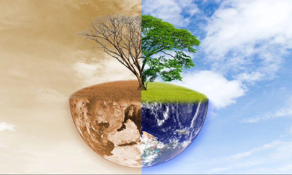 Life at the Edge: Beyond the Great Barrier