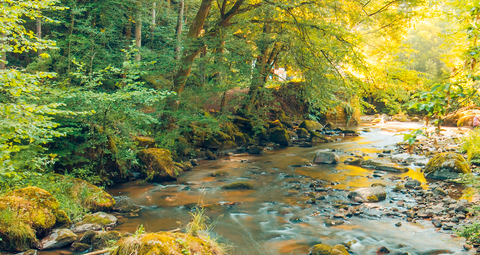 Learning to React With Grace: A Lesson in Fluidity