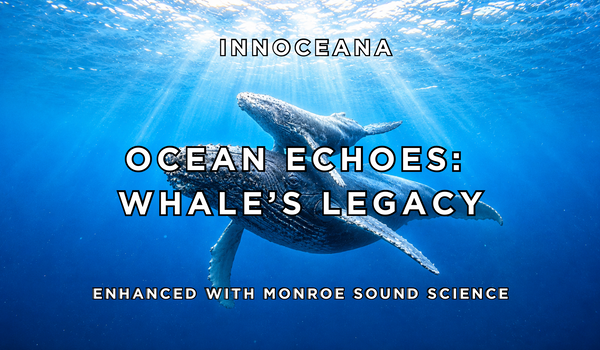 Ocean Echoes: Whale's Legacy