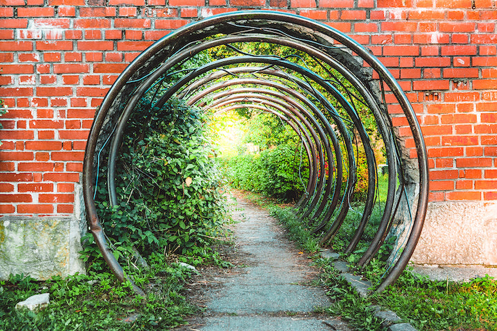 Personal Reflections: Inaugural Gateway Voyage Virtual Retreat