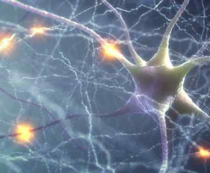 Discovery: Combining Research and Consciousness Exploration at TMI image