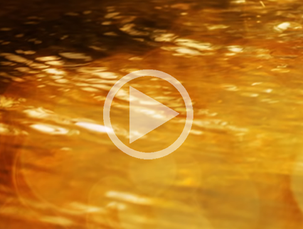 Streamhaven Guided Meditation