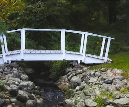 “It Came to Me in a Program” Tapping the Muse with Hemi-Sync® and SAM image