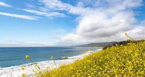 Why You Should Consider Meditating Seaside