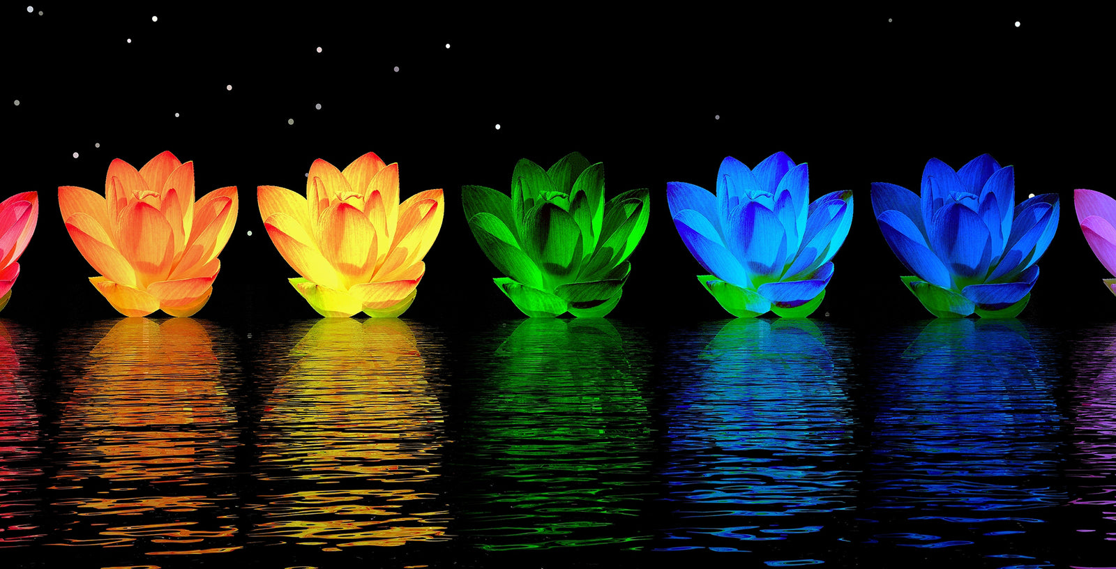 Understanding Chakra Work in Meditation