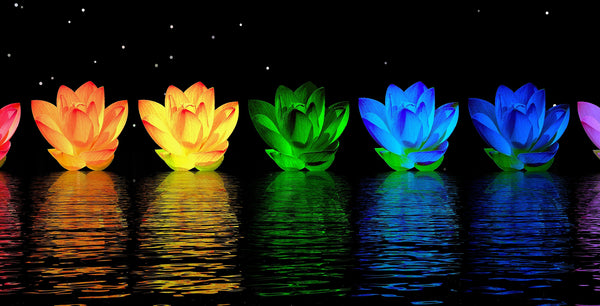 Understanding Chakra Work in Meditation