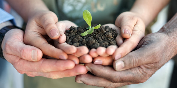 How to Embrace New Beginnings