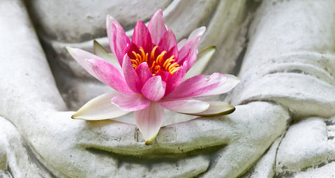 Finding Unexpected Themes in Your Meditation