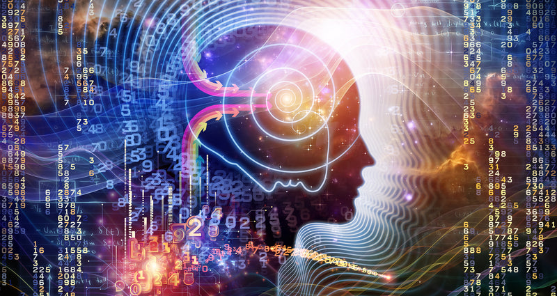 The Future of Consciousness Exploration: Trends and Innovations – The ...