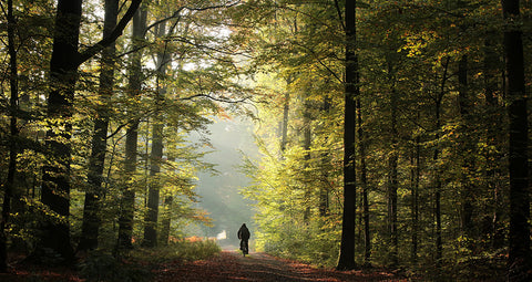 Getting in Tune with Your Own Frequencies