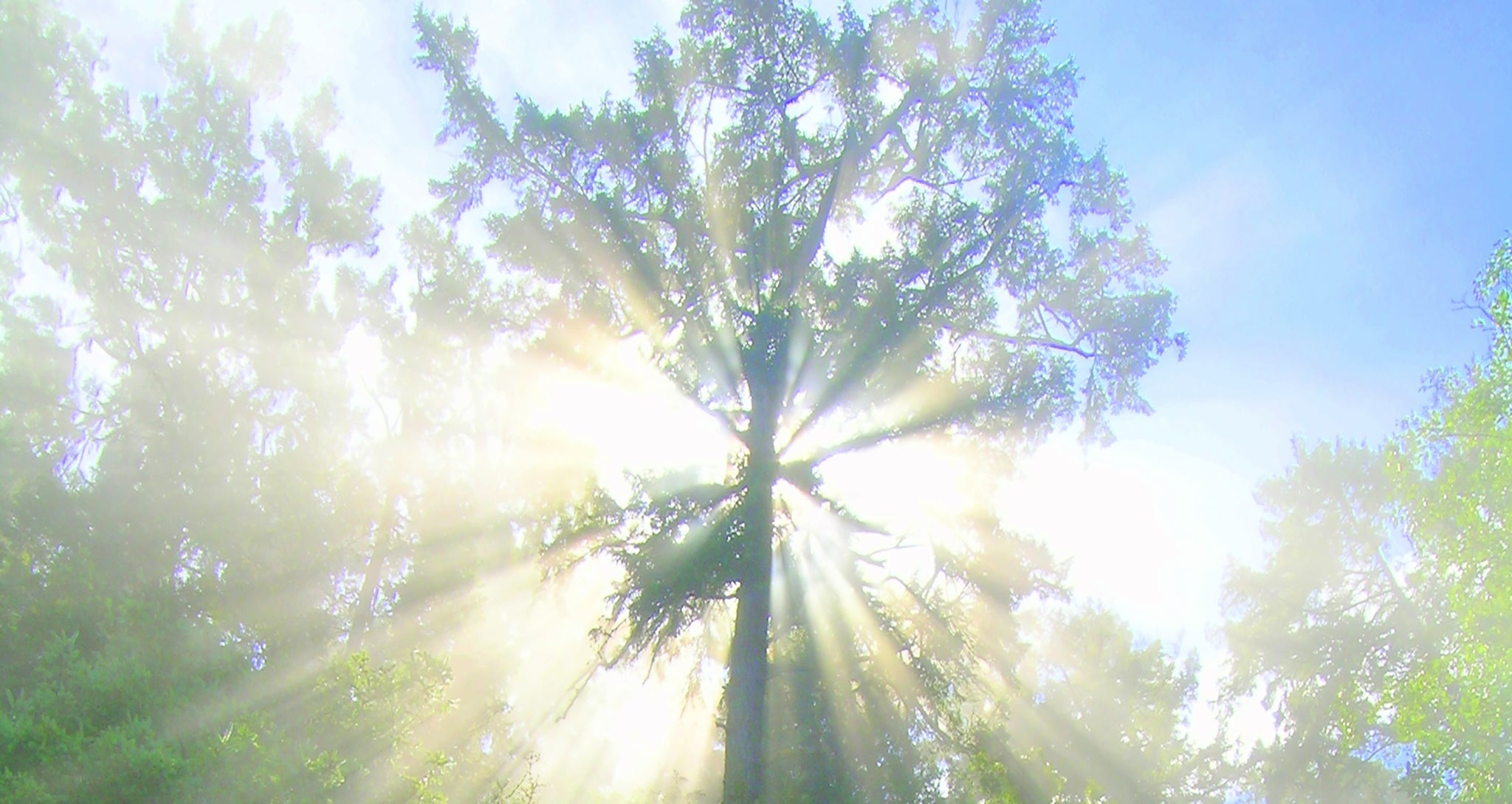 Finding the Deeper Meaning of Metaphysical Coincidences