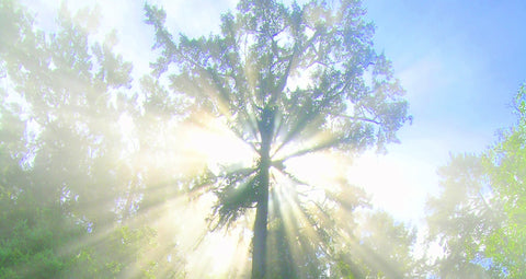 Finding the Deeper Meaning of Metaphysical Coincidences