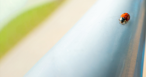 Lessons Learned on Perspective During Exploration 27