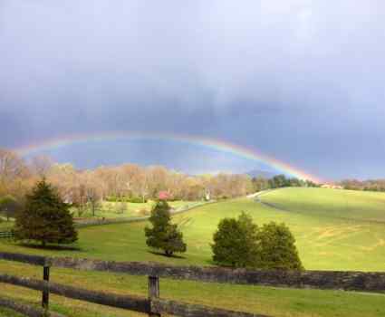 Director’s Chair: March 2019—Nancy's Farewell image