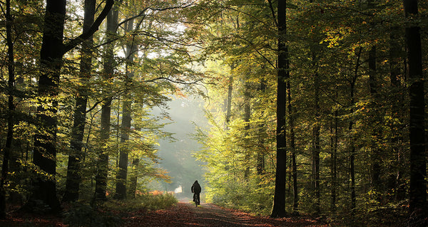 Starlines Reconnected Me with My Path