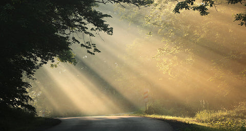 Why We Resist Change and How to Embrace Changes that Benefit Us