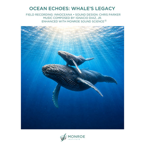 Ocean Echoes: Whale's Legacy