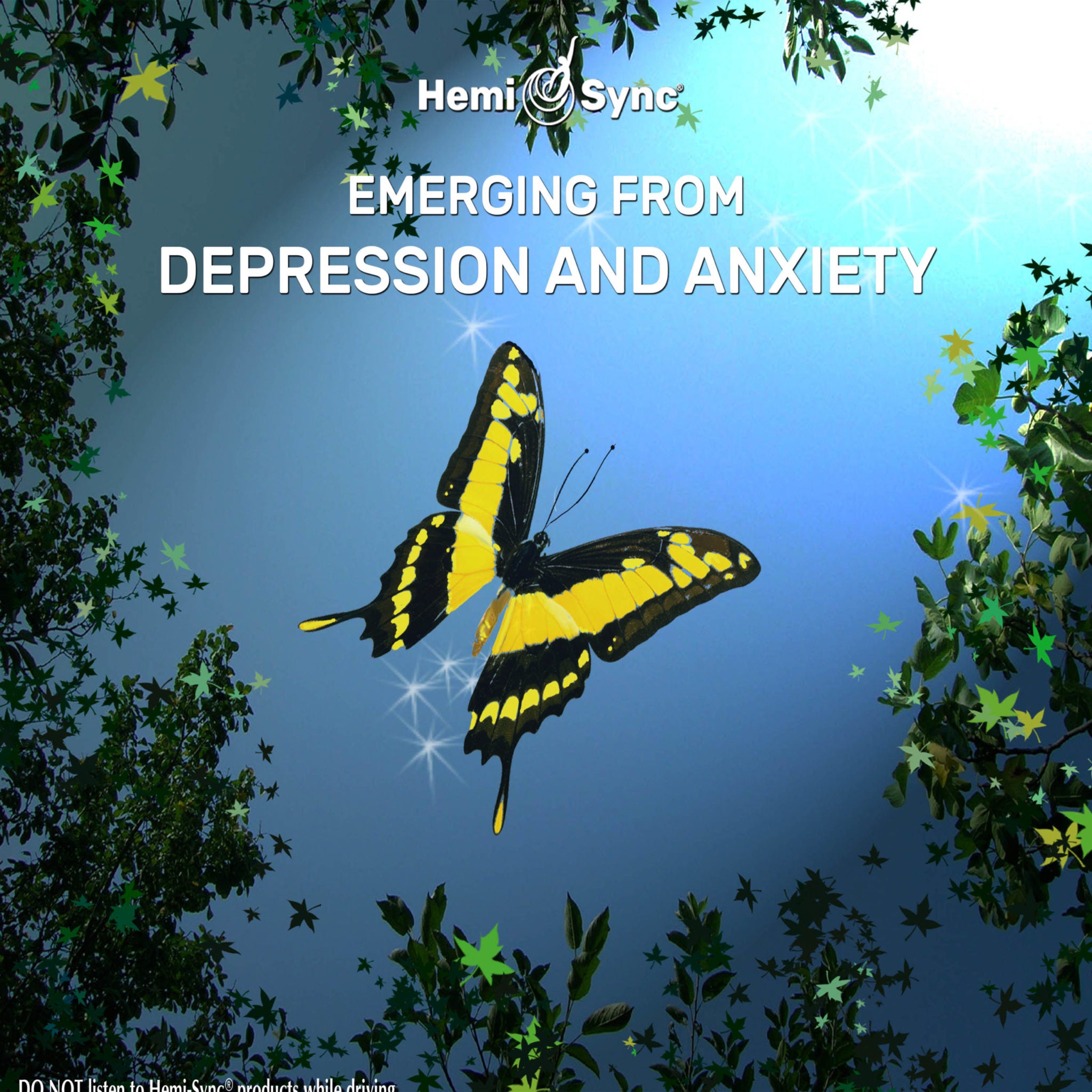 Emerging From Depression and Anxiety