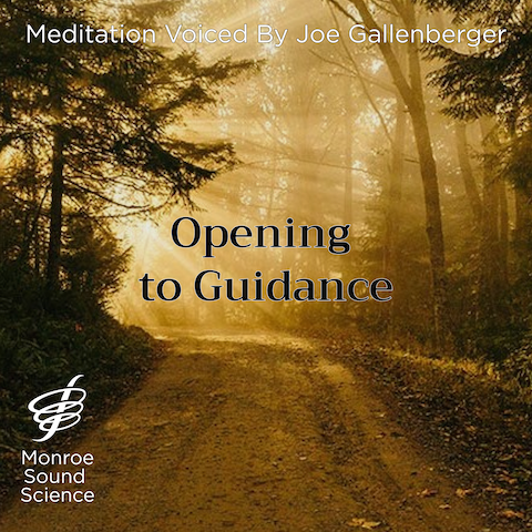Opening to Guidance